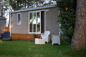 OasiHome